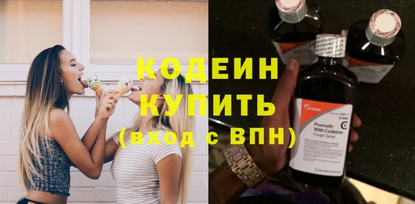 бошки Бородино