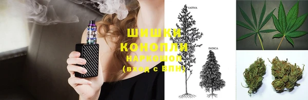 бошки Богданович