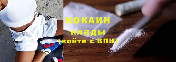 бошки Богданович