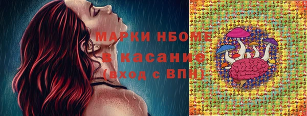 бошки Богданович