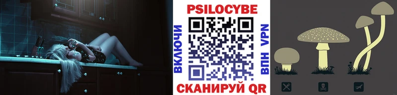 купить закладку Красноярск блэк спрут ТОР Галлюциногенные грибы MAGIC MUSHROOMS